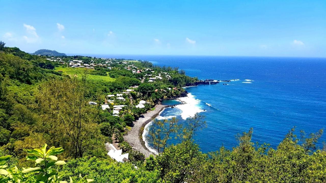 Le Gecko Vert Manapany-les Bains Dış mekan fotoğraf