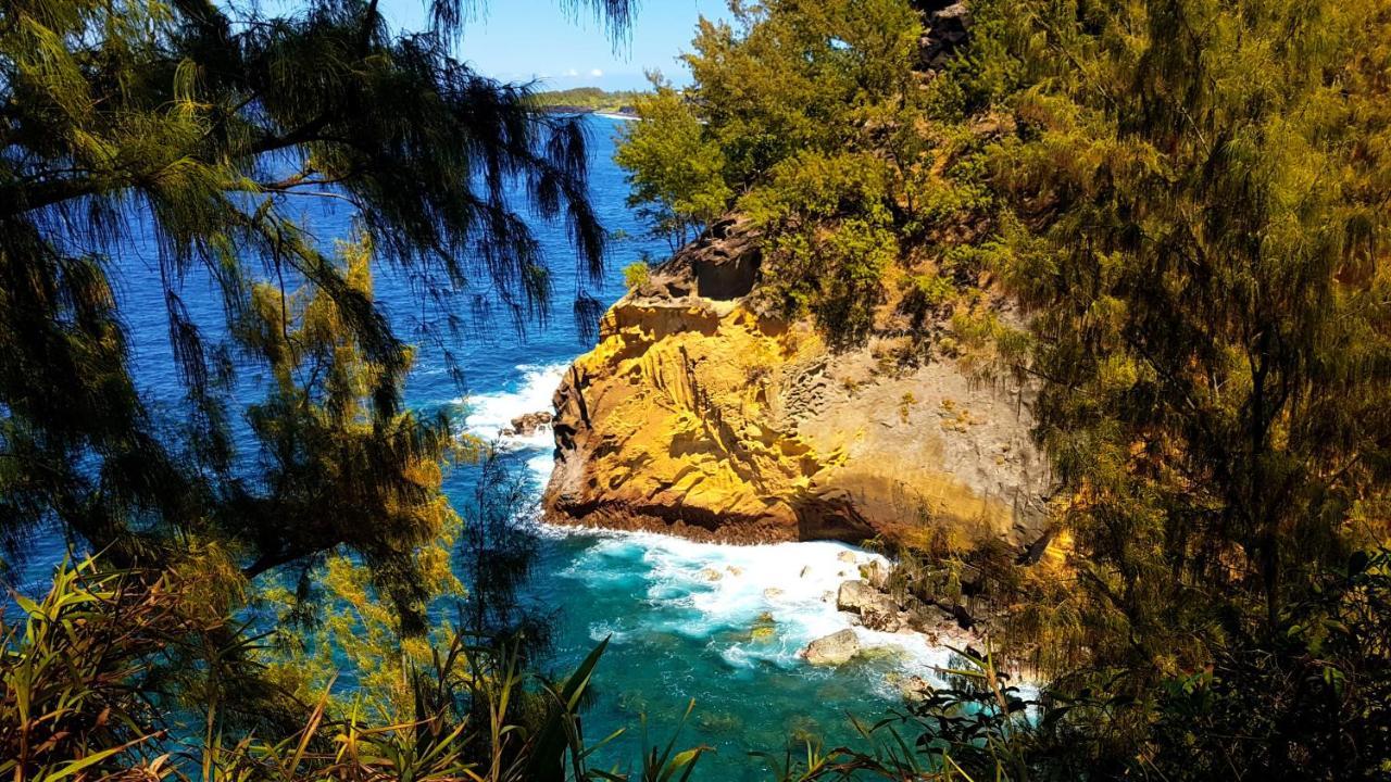 Le Gecko Vert Manapany-les Bains Dış mekan fotoğraf